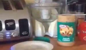 Aus dem Toaster direkt auf den Teller