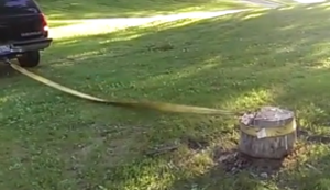 Baumstumpf rausziehen