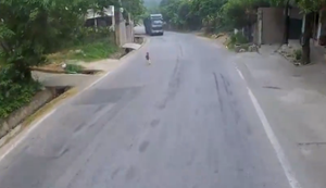 Wenn das Kleinkind einen Ausflug macht