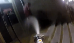 Kampf gegen Wildpinkler