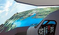 Profi Flugsimulator