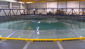 Wellensimluation Wellensimluation