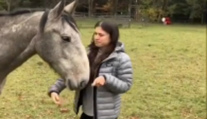 Pferd führen ohne Zaumzeug