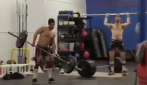 Zwei Tiere beim Training Zwei Tiere beim Training