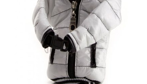 Smartphone Polarjacke