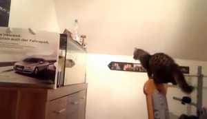 Fail Compilation März 2014