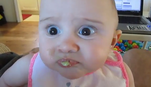 Heute gibt es Avocado! Heute gibt es Avocado!