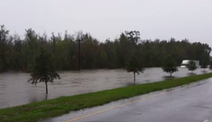 Unterwegs auf der Wasserstrasse Unterwegs auf der Wasserstrasse