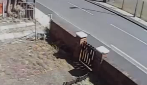 Das linke oder rechte Tor? Das linke oder rechte Tor?