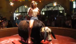 Wilder Ritt auf dem Bullen Wilder Ritt auf dem Bullen