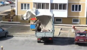 Ein frisches Lüftchen