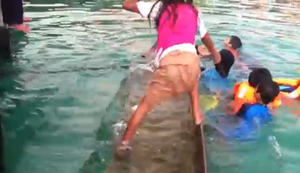 Gesunkenes Kanu wieder flott machen Gesunkenes Kanu wieder flott machen