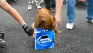 Finger weg von meinem Bier Finger weg von meinem Bier