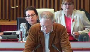 Die NPD über Cannabiskonsum