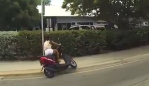 Roller Fail Compilation