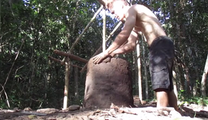 Ein Leben im Wald Ein Leben im Wald