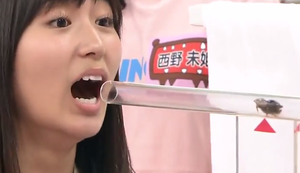 Kakerlakenblasen Kakerlakenblasen