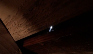 Auf der Suche nach der Wasserquelle