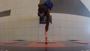 Überraschung am Snackautomat Überraschung am Snackautomat