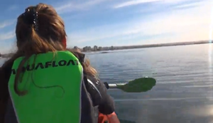 Begegnung auf dem Wasser Begegnung auf dem Wasser