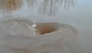 Wer hat hier den Stöpsel gezogen?