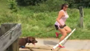 Neulich beim Gassigehen Neulich beim Gassigehen