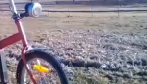 Vogelscheue auf dem Fahrrad