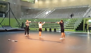 Auf der Stange turnen