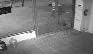 Einbrecher auf der Flucht Einbrecher auf der Flucht