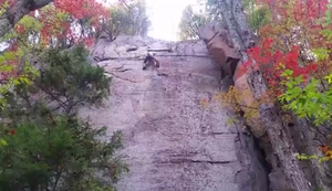 Hoffentlich gut gesichert