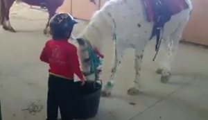 Auf das Pferd steigen Auf das Pferd steigen