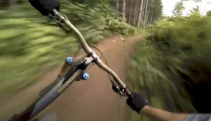 Radtour durch den Wald