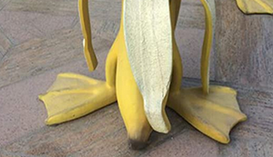 Bananenenten