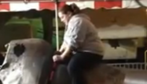 Mal richtig schön den Bullen reiten