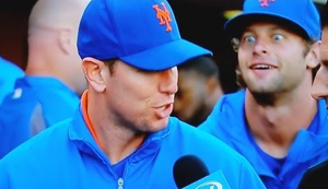 Die besten Videobomber Die besten Videobomber