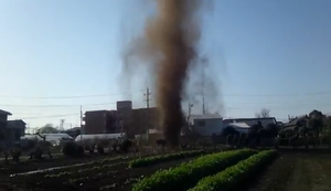 Laune der Natur Laune der Natur