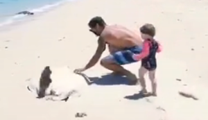 Rettungsaktion am Strand