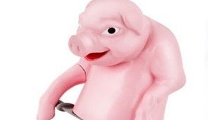 Slicey the Pig