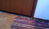 Das ist mein Teppich!