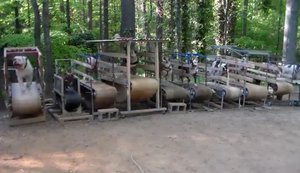 Abnehmkur für Hunde