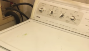 Waschmaschine gibt Takt vor