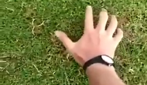 Wie man einen Maulwurf fängt Wie man einen Maulwurf fängt