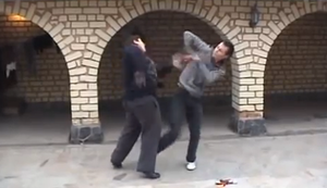 Feine russische Kampfkunst Feine russische Kampfkunst