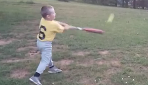 Baseball-Training im Garten Baseball-Training im Garten