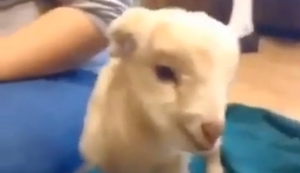 Komm Kleines gib alles!