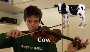 Tierstimmen auf einer Geige nachstellen