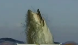 Schockierte Moderatoren Schockierte Moderatoren