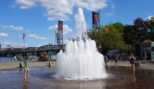 Überraschung im Brunnen