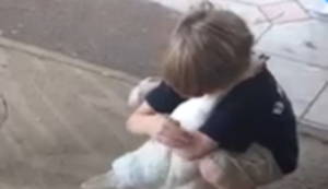 Mit Hühnern schmusen