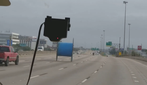 Kuriose Begegnung auf dem Highway